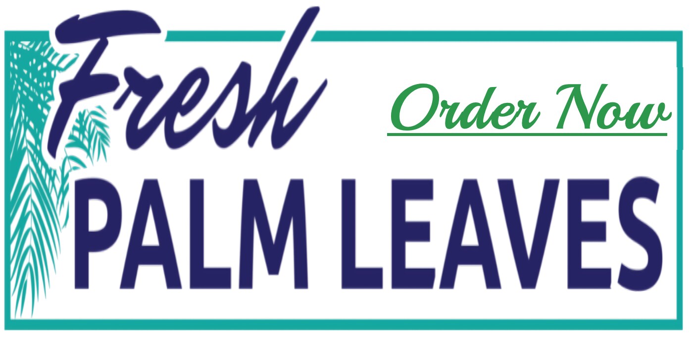 Fresh Palm Strips and Leaves Shipped and Delivered